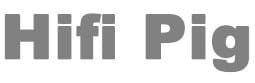 Hifi pig icon